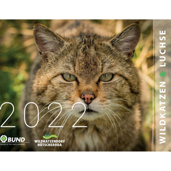 Luchs-und Wildkatzenkalender 2022